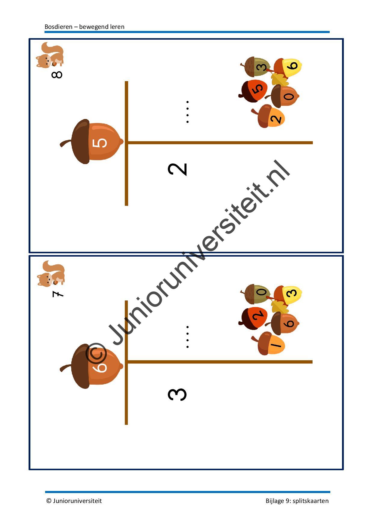 Bosdieren - bewegend leren - Afbeelding 10