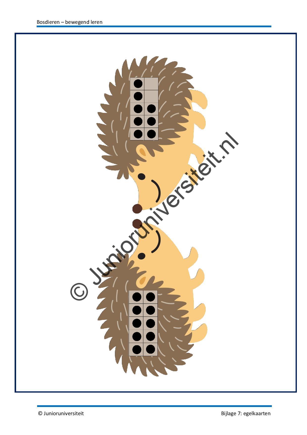 Bosdieren - bewegend leren - Afbeelding 9