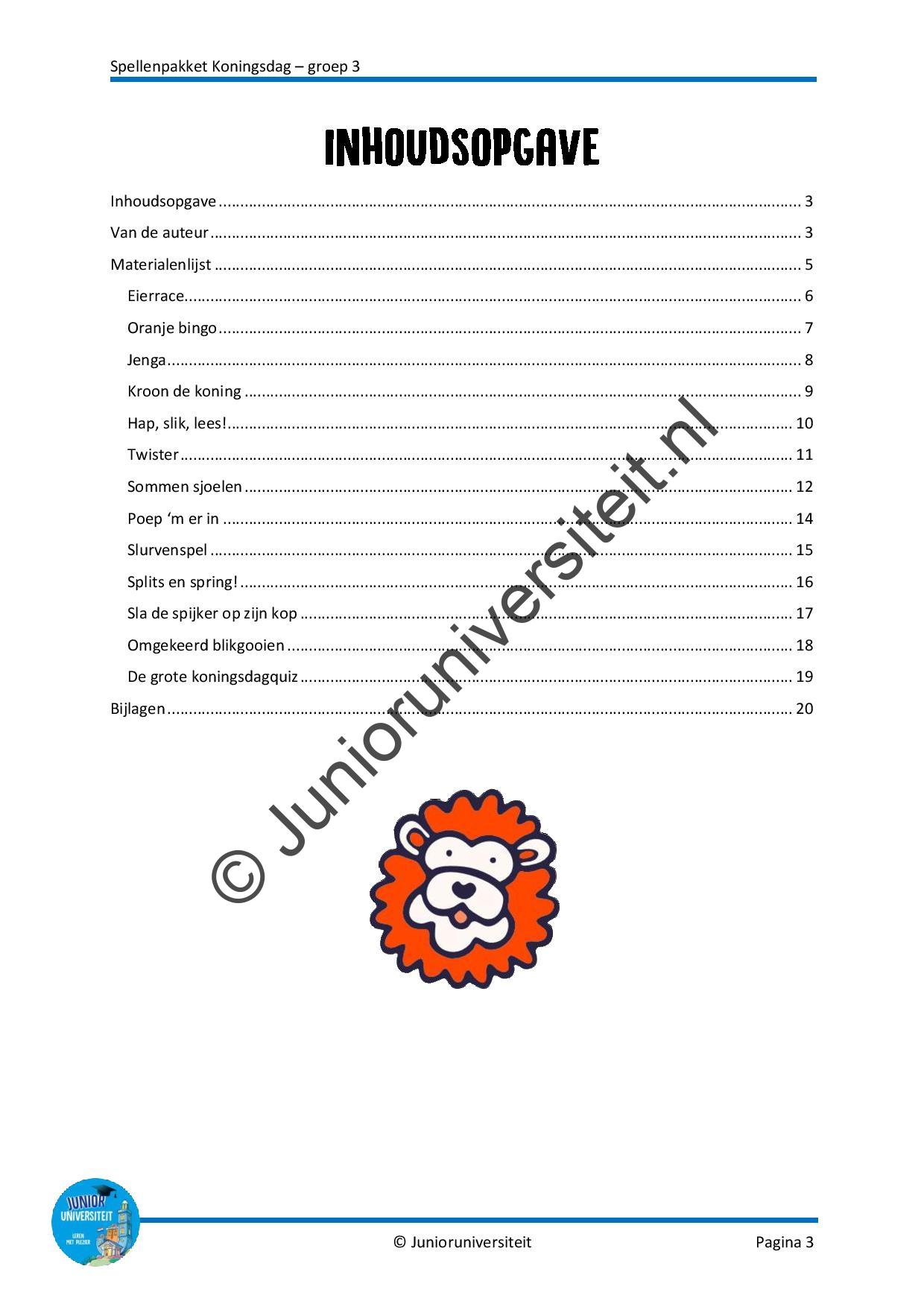 Spellenpakket Koningsdag - Afbeelding 2