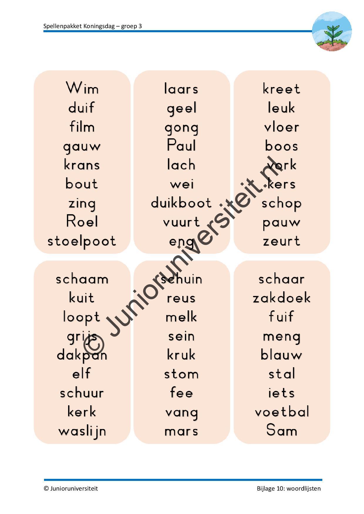 Spellenpakket Koningsdag - Afbeelding 8