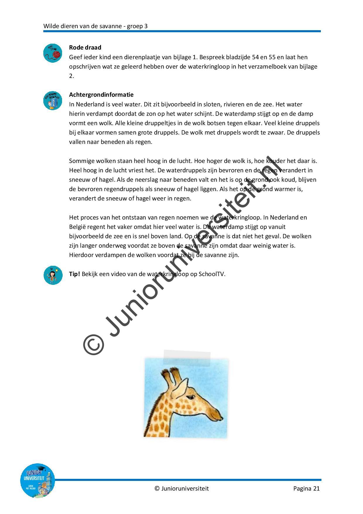 Wilde dieren - Afbeelding 9