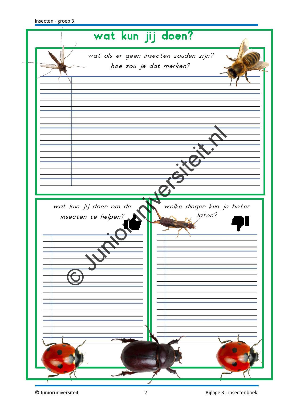 Insecten - Afbeelding 11