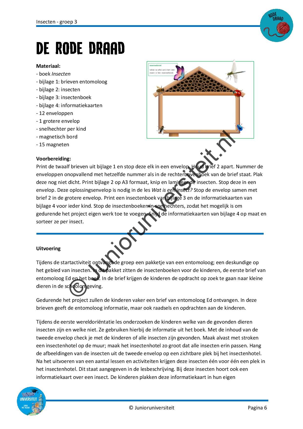 Insecten - Afbeelding 5