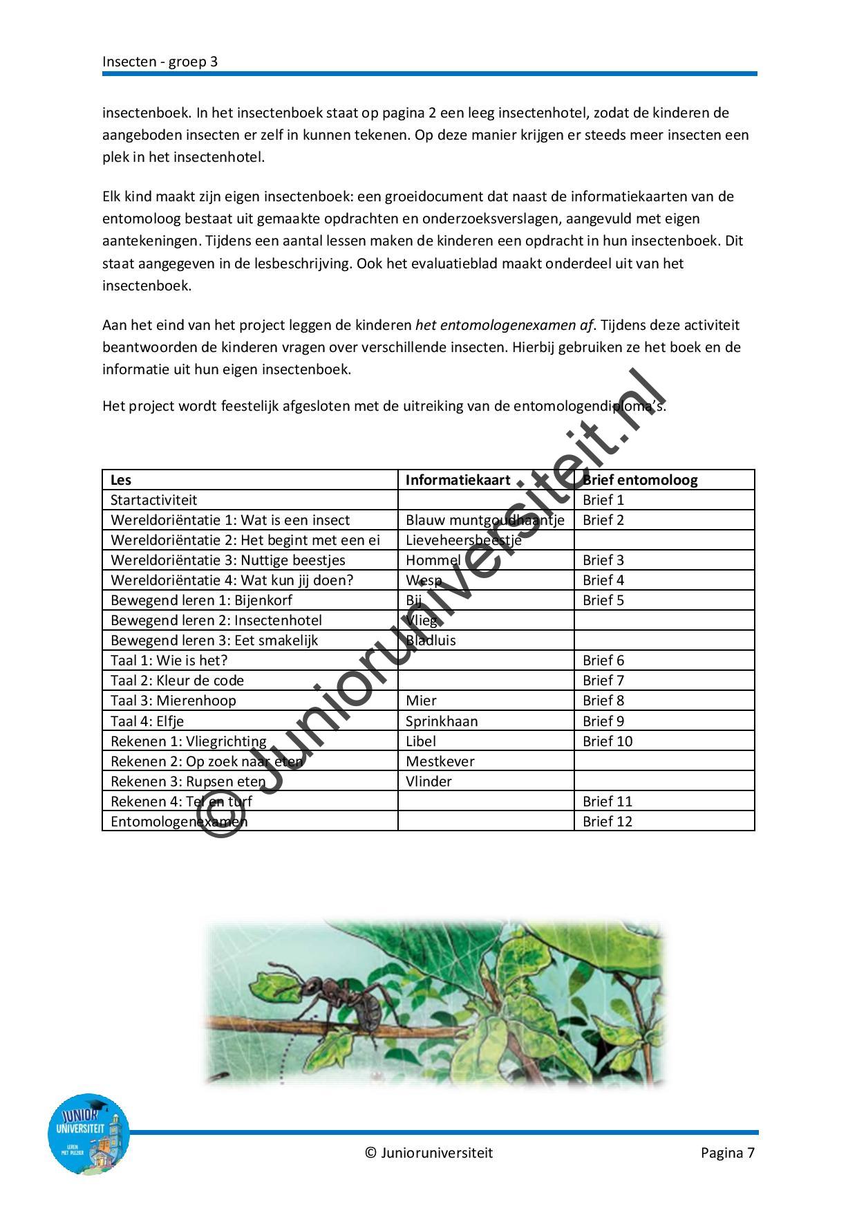 Insecten - Afbeelding 6