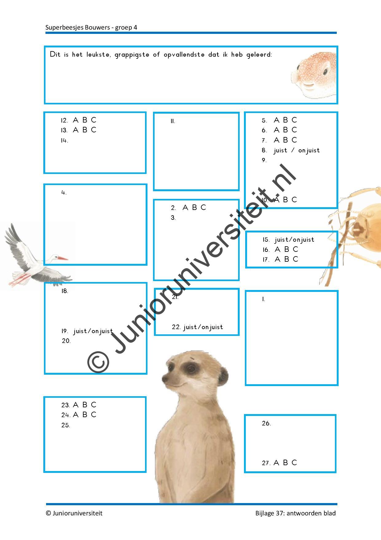 Superbeesjes bouwers - Afbeelding 12