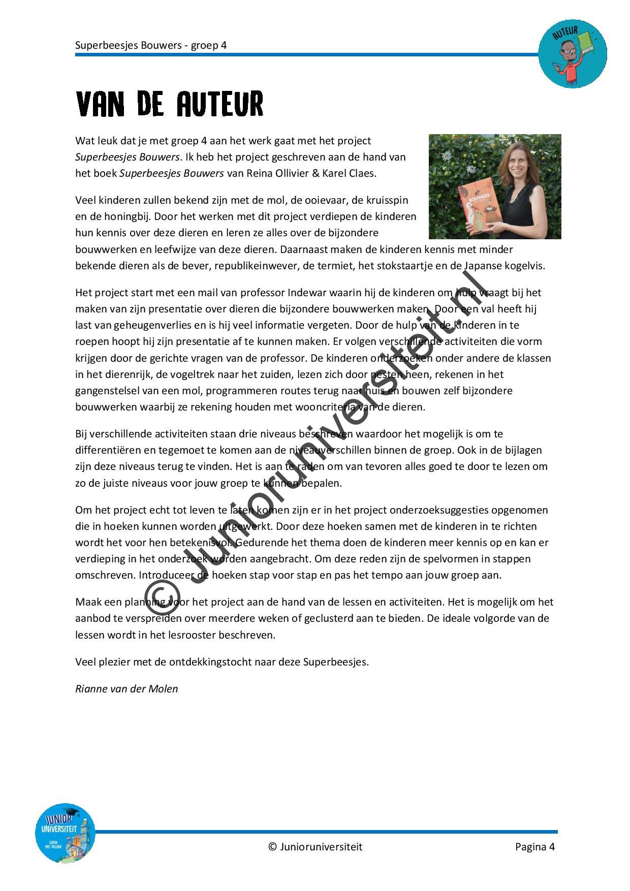 Superbeesjes bouwers - Afbeelding 3