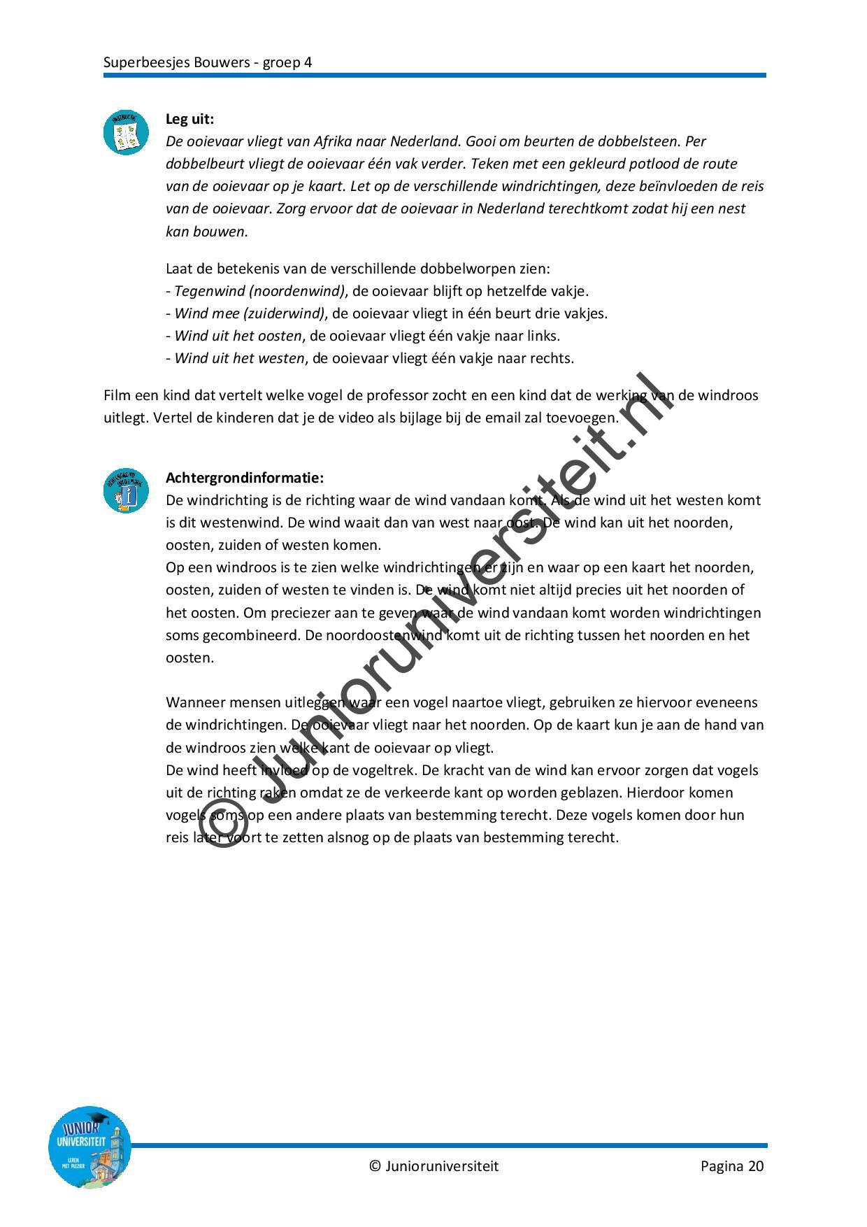 Superbeesjes bouwers - Afbeelding 8