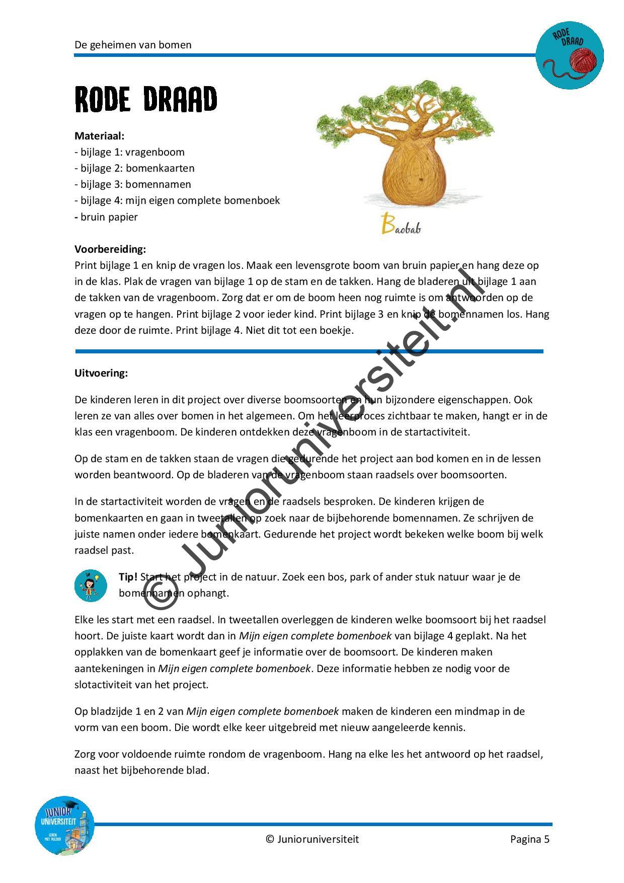 De geheimen van bomen - Afbeelding 4