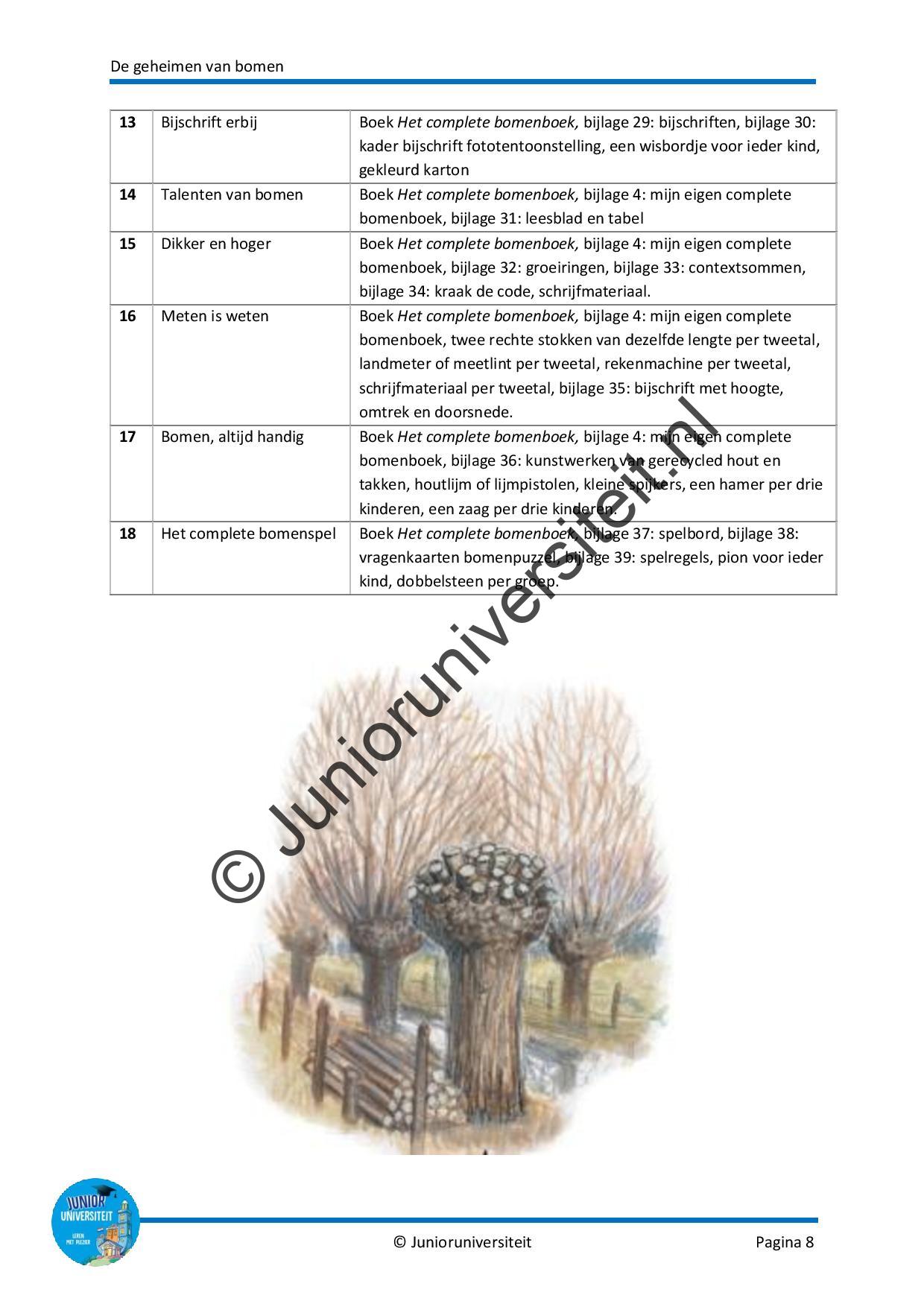 De geheimen van bomen - Afbeelding 7