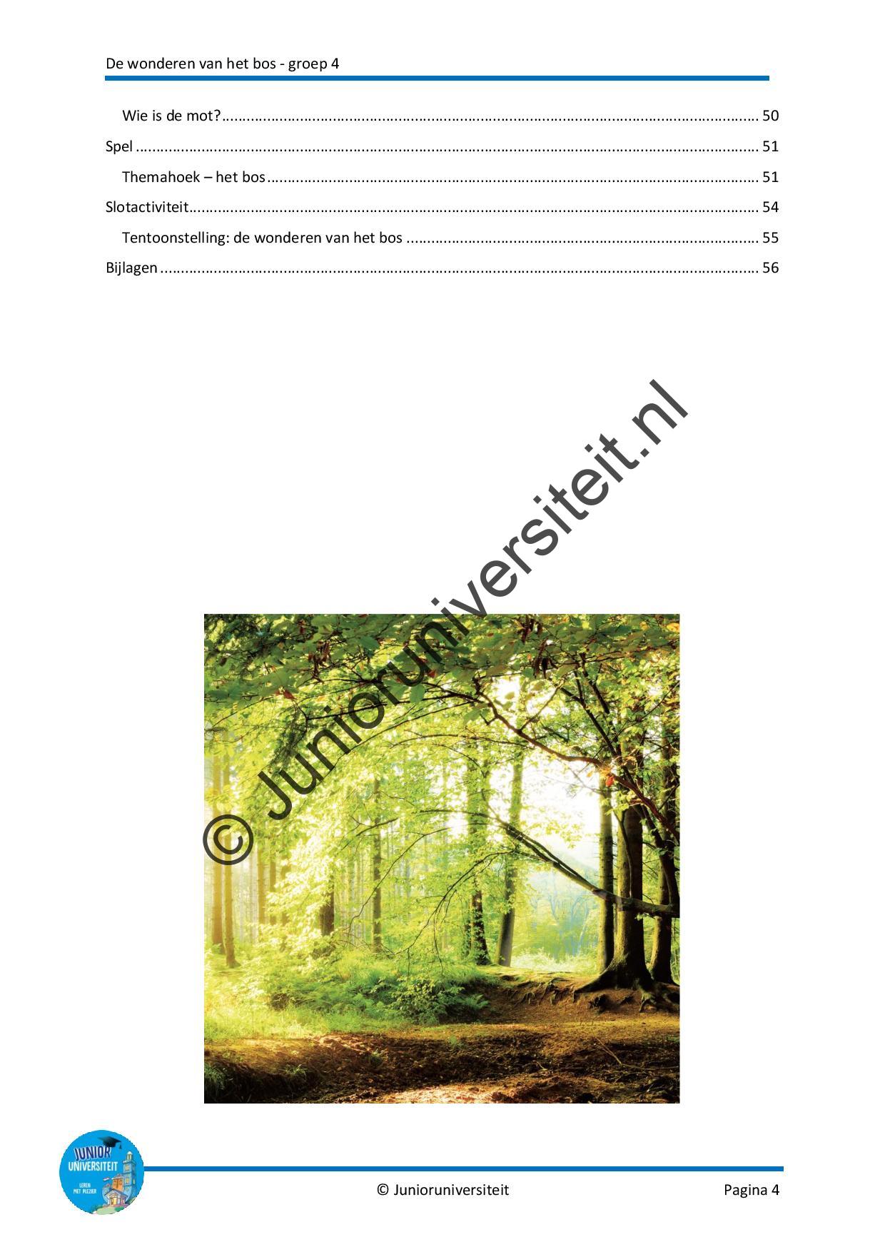De wonderen van het bos - Afbeelding 3
