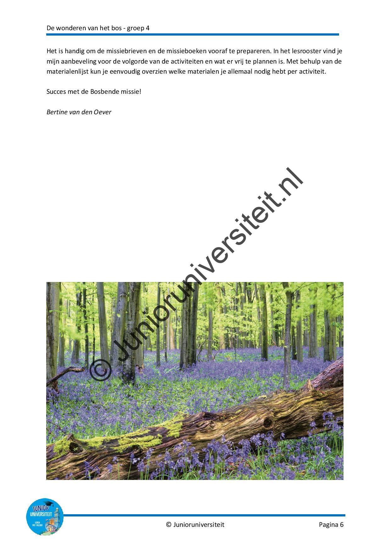 De wonderen van het bos - Afbeelding 5