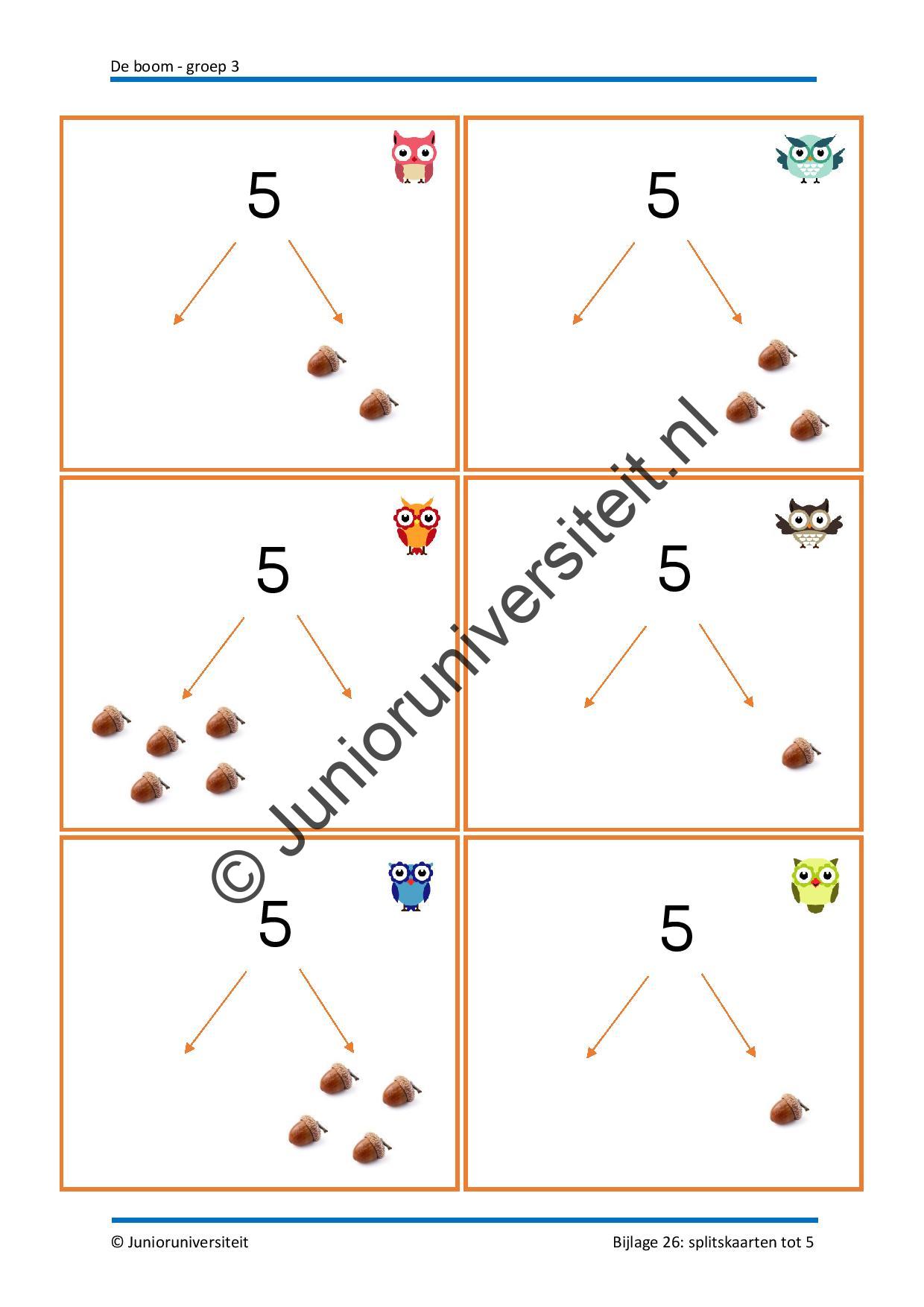 De boom - Afbeelding 11