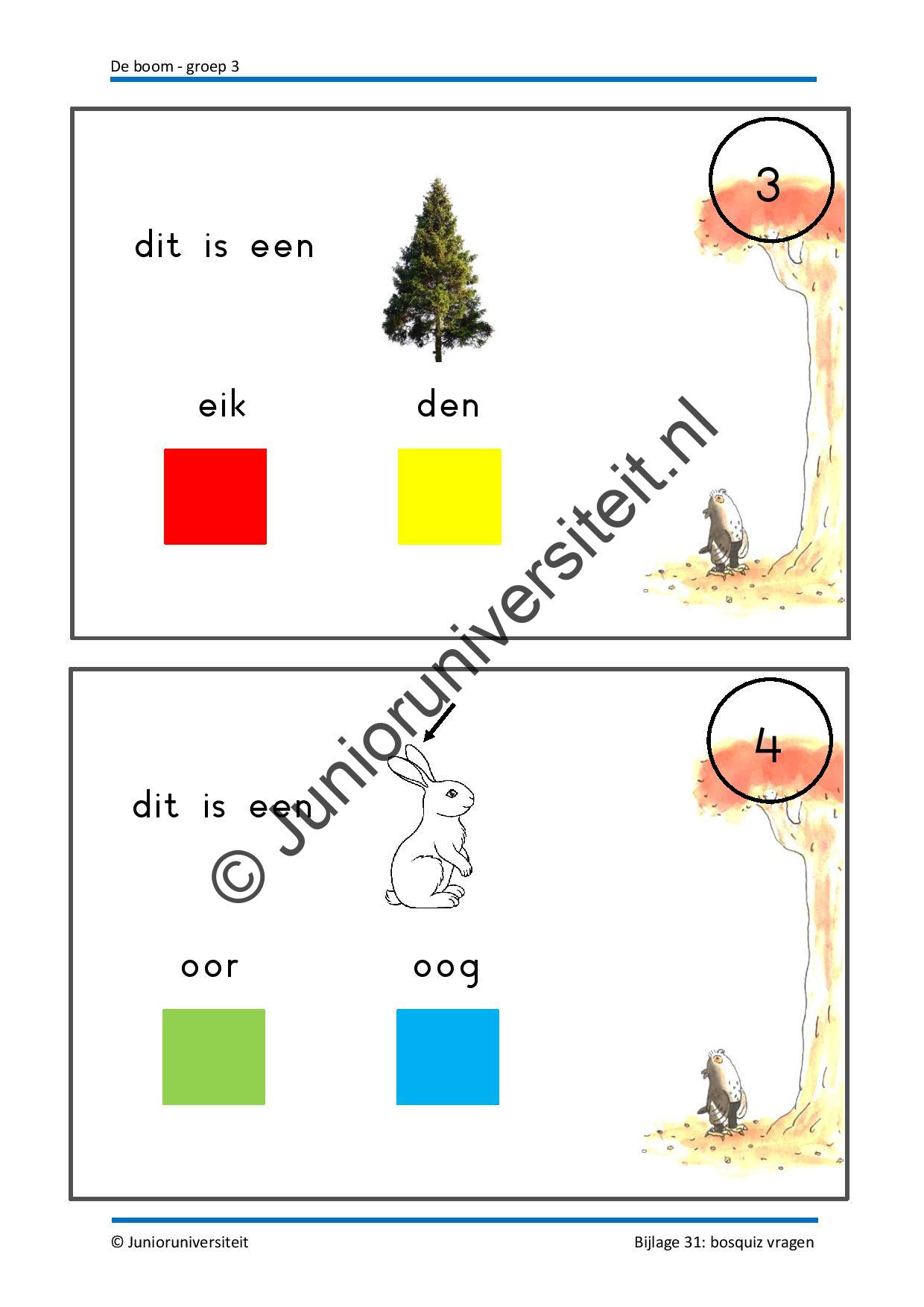 De boom - Afbeelding 13