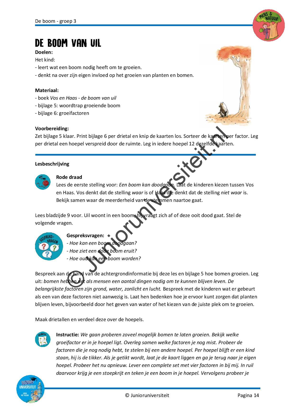 De boom - Afbeelding 7