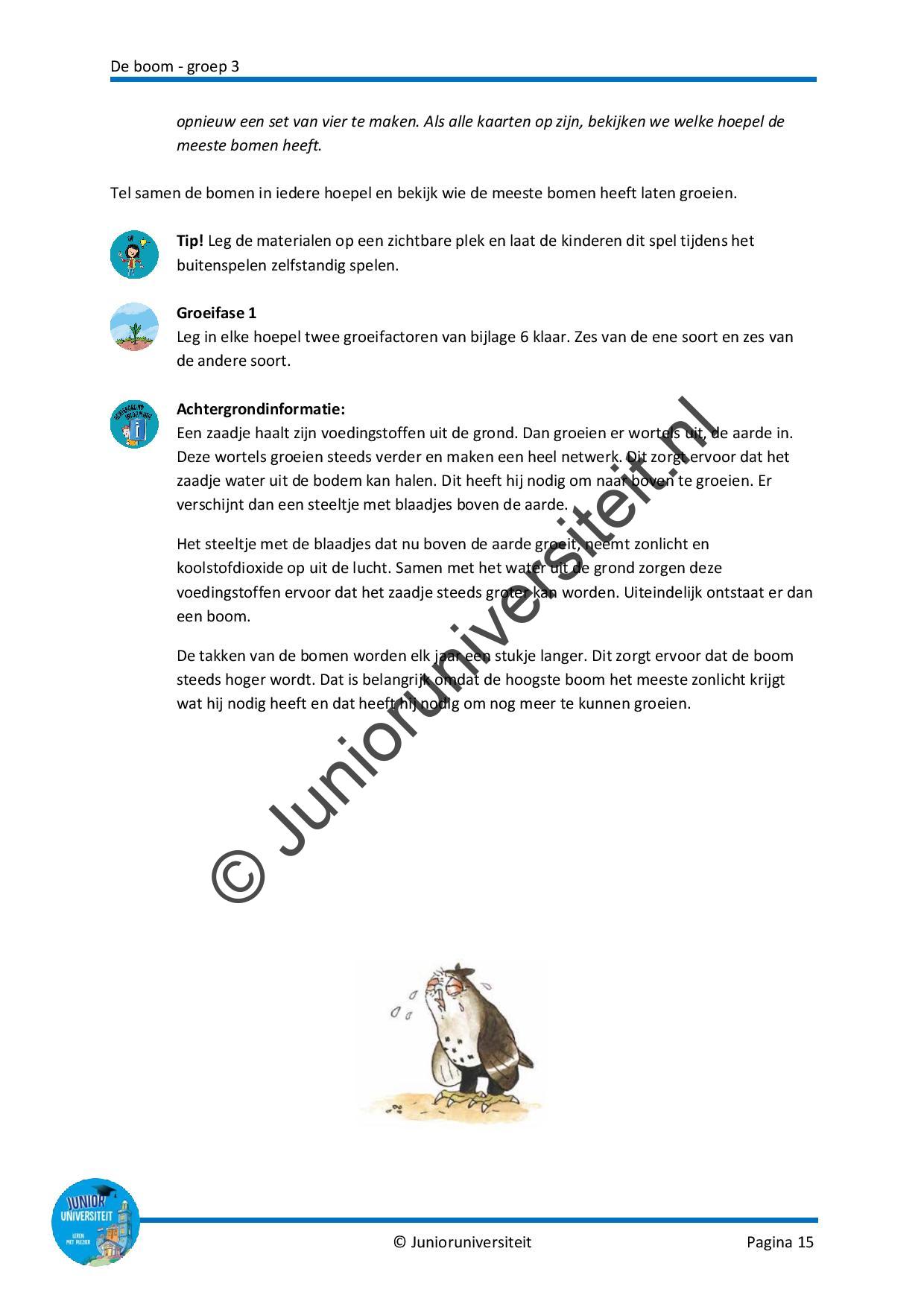 De boom - Afbeelding 8