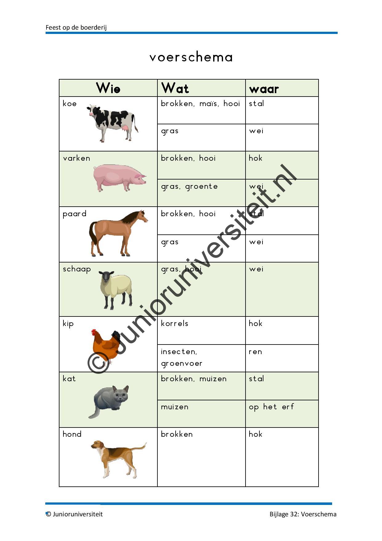 Feest op de boerderij - Afbeelding 13