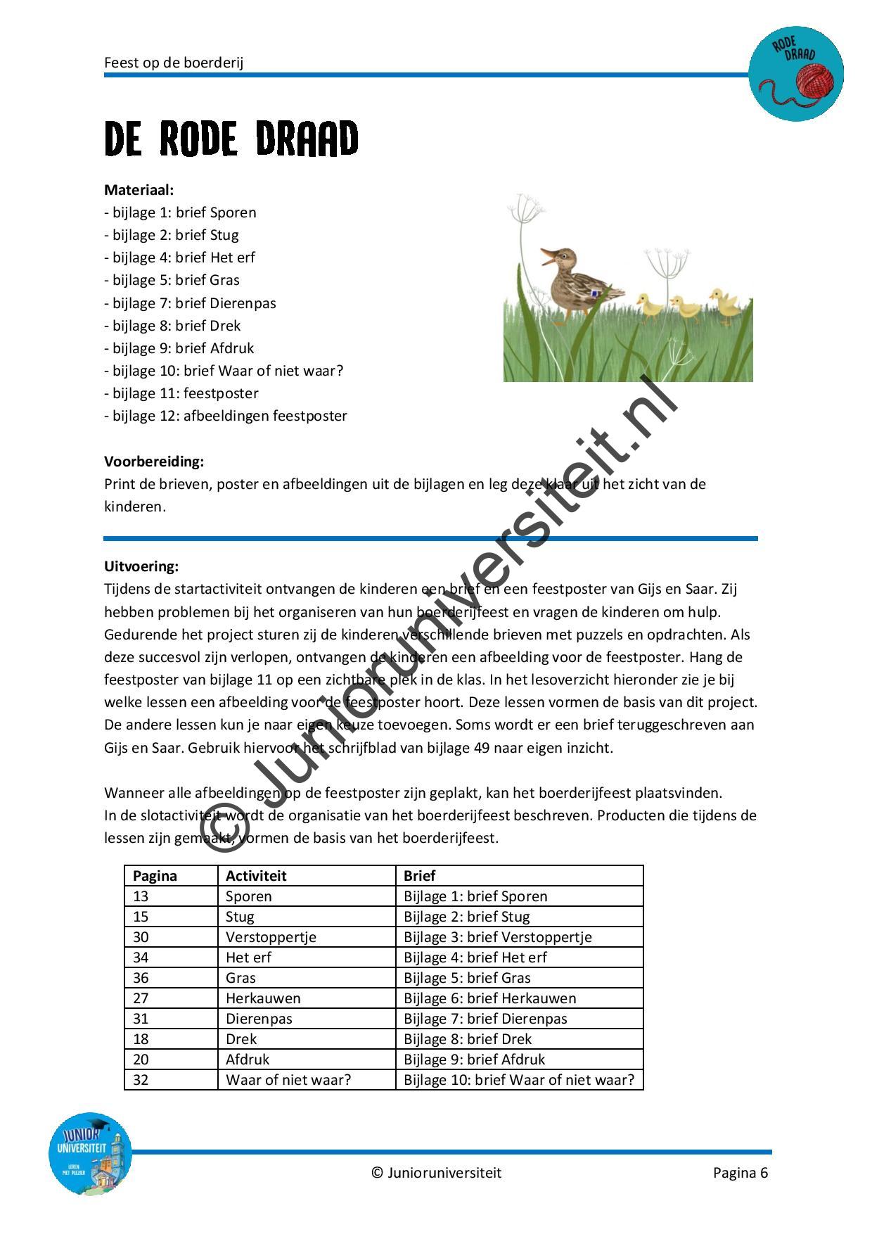 Feest op de boerderij - Afbeelding 5