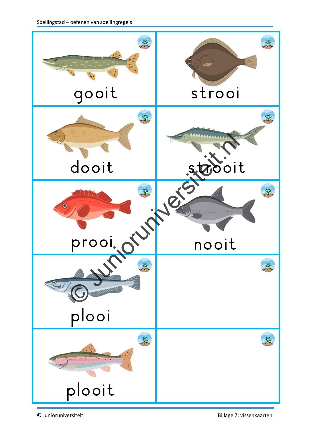 Spellingstad - groep 3 - 4 - 5 - Afbeelding 8