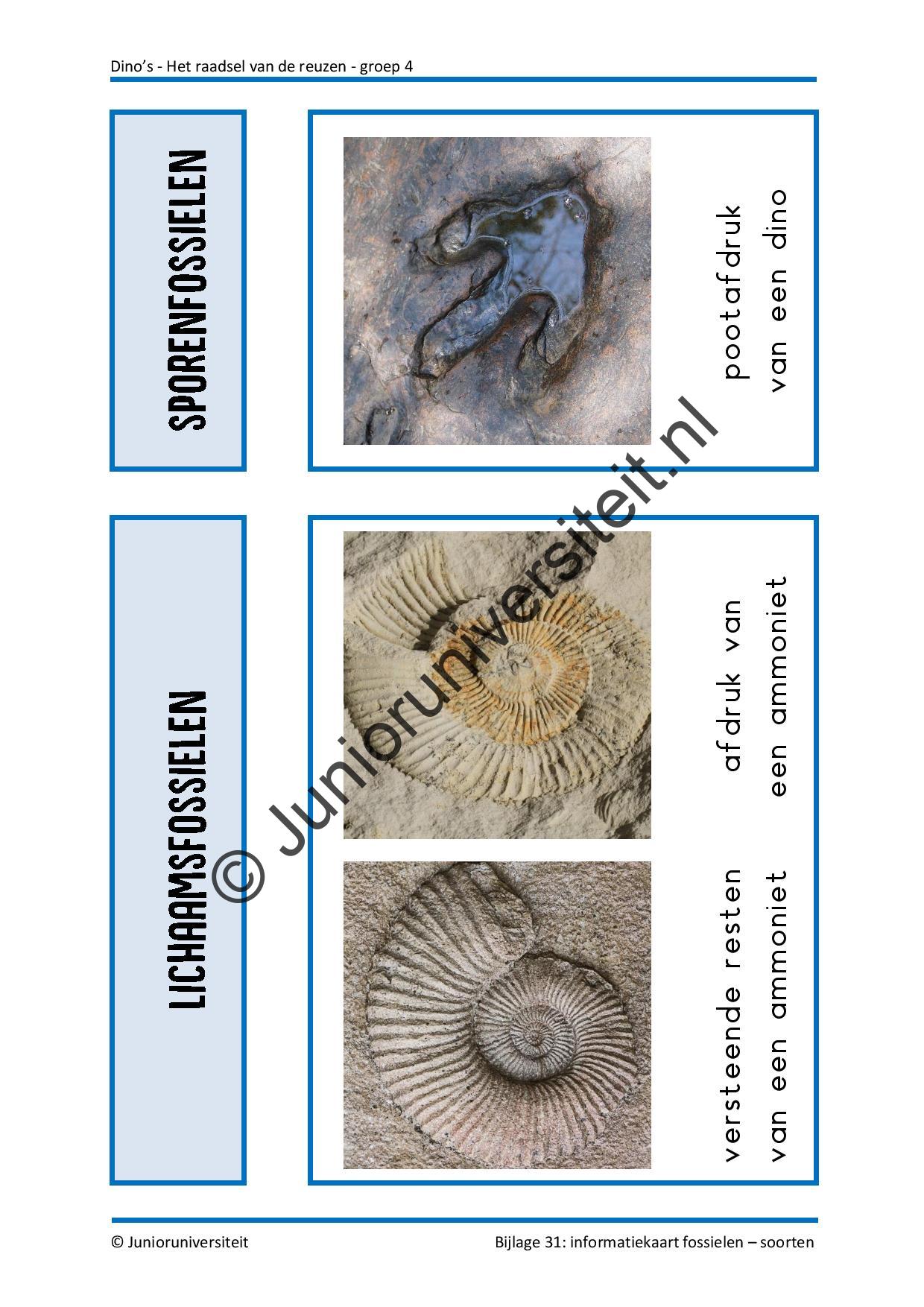 Dinos - Het raadsel van de reuzen - groep 4 - Afbeelding 11