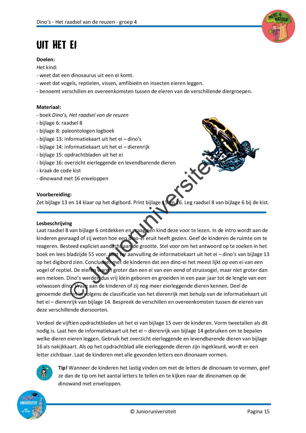 Dinos - Het raadsel van de reuzen - groep 4 - Afbeelding 8