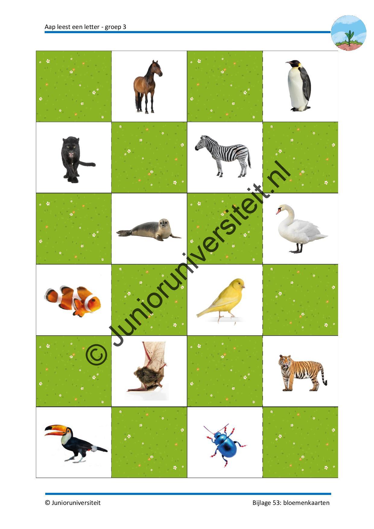 Aap leest een letter - groep 3 - Afbeelding 14