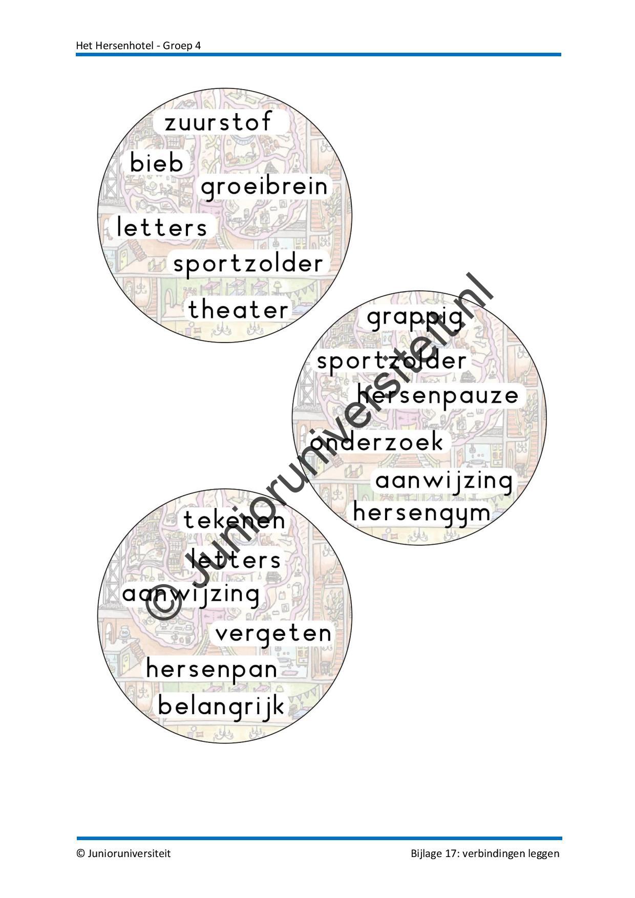 Het Hersenhotel - groep 4 - Afbeelding 10