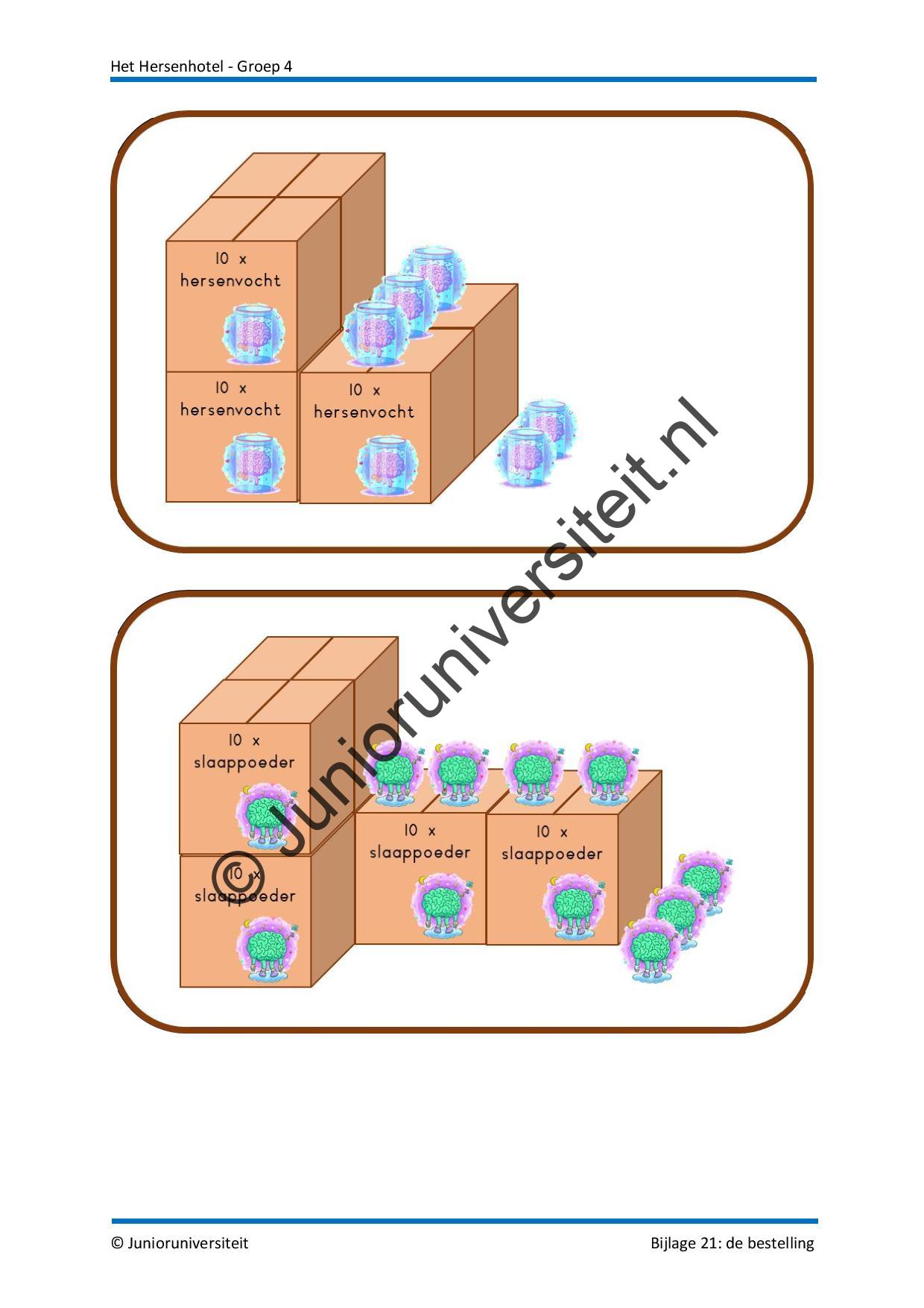 Het Hersenhotel - groep 4 - Afbeelding 11