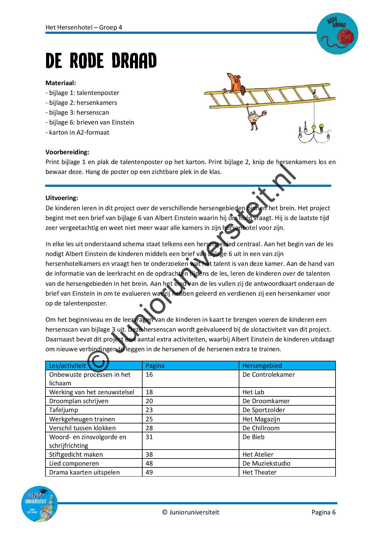 Het Hersenhotel - groep 4 - Afbeelding 5