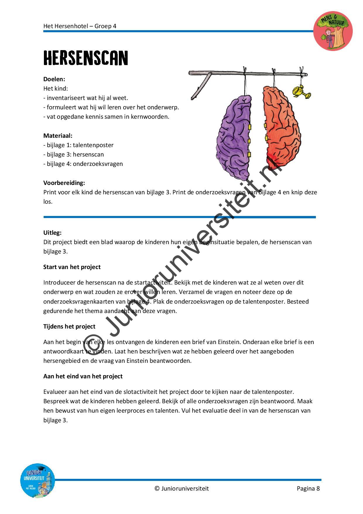 Het Hersenhotel - groep 4 - Afbeelding 6