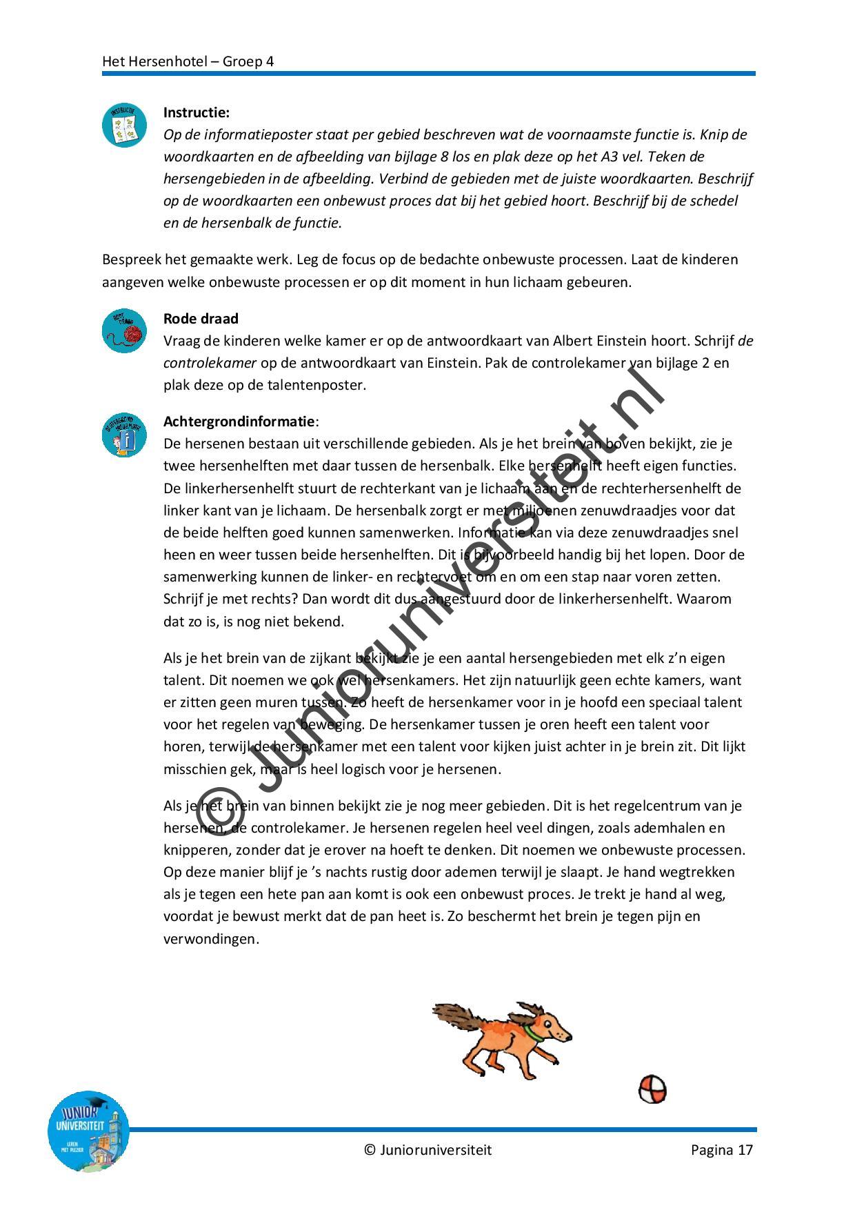 Het Hersenhotel - groep 4 - Afbeelding 9