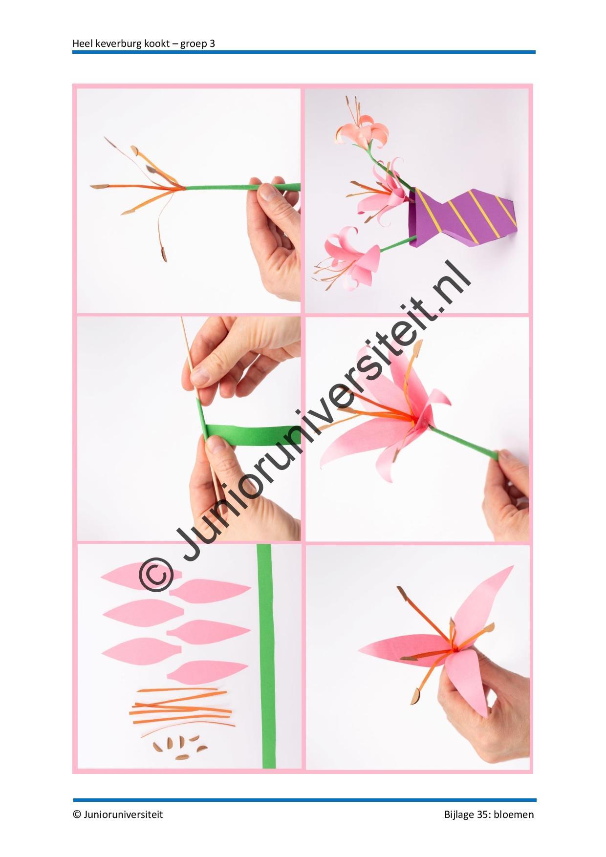 Heel Keverburg kookt - Afbeelding 13