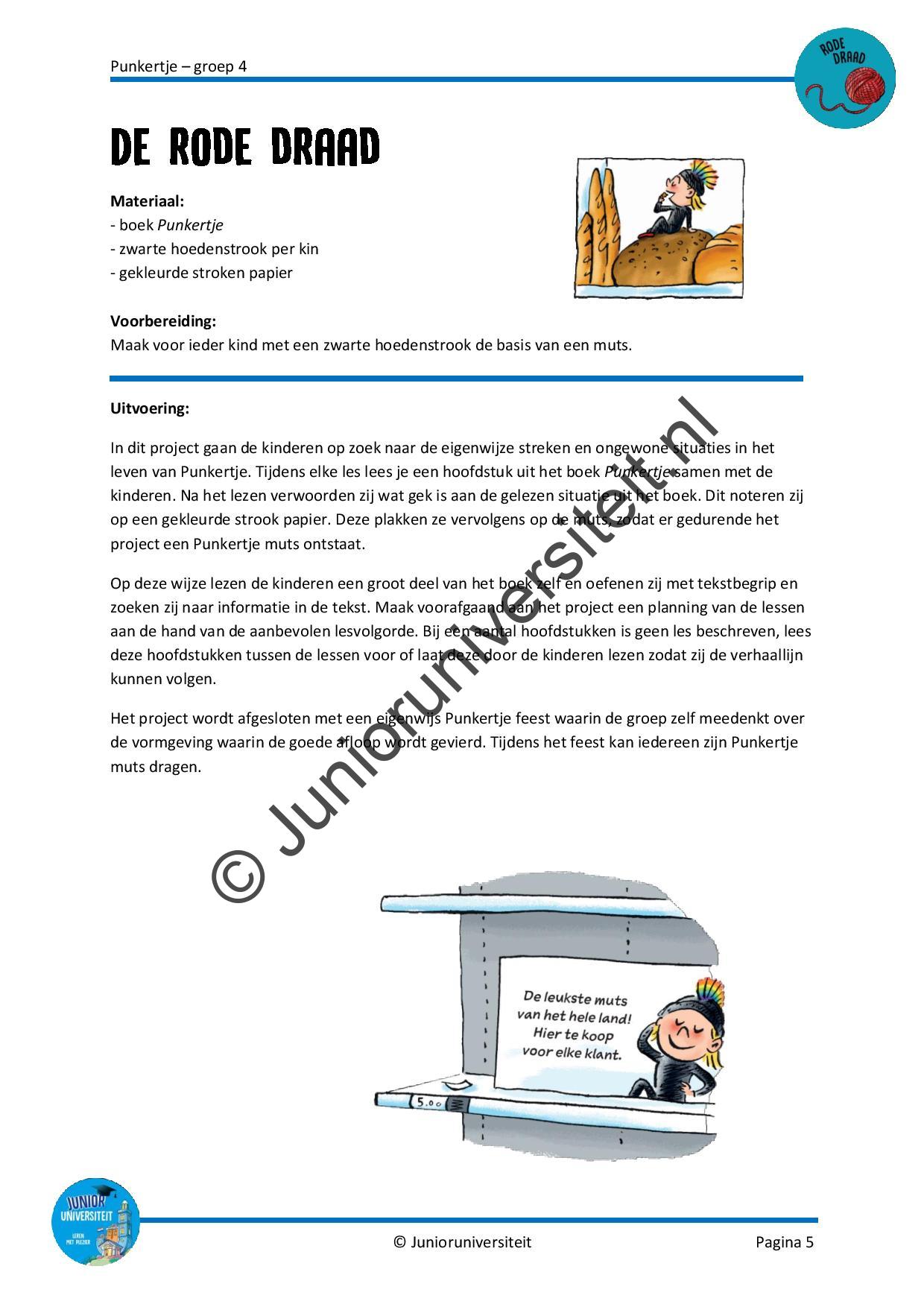 Punkertje - groep 4 - Afbeelding 4