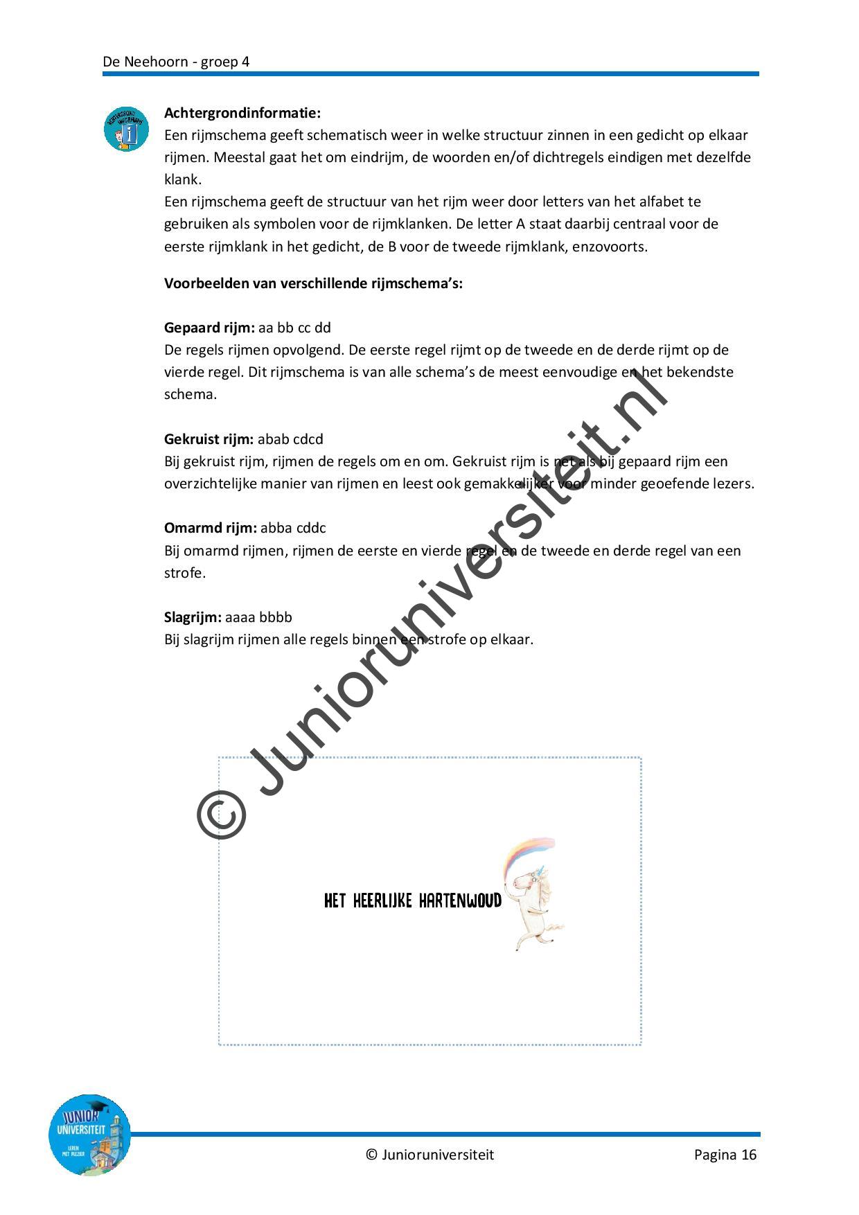 De NEEhoorn - groep 4 - Afbeelding 9