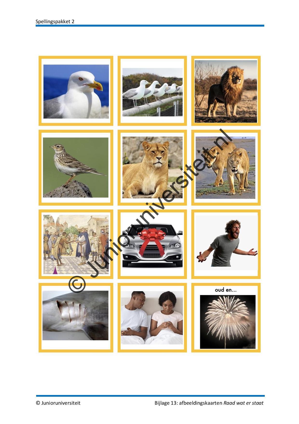 Spellingspakket 2 - Afbeelding 8