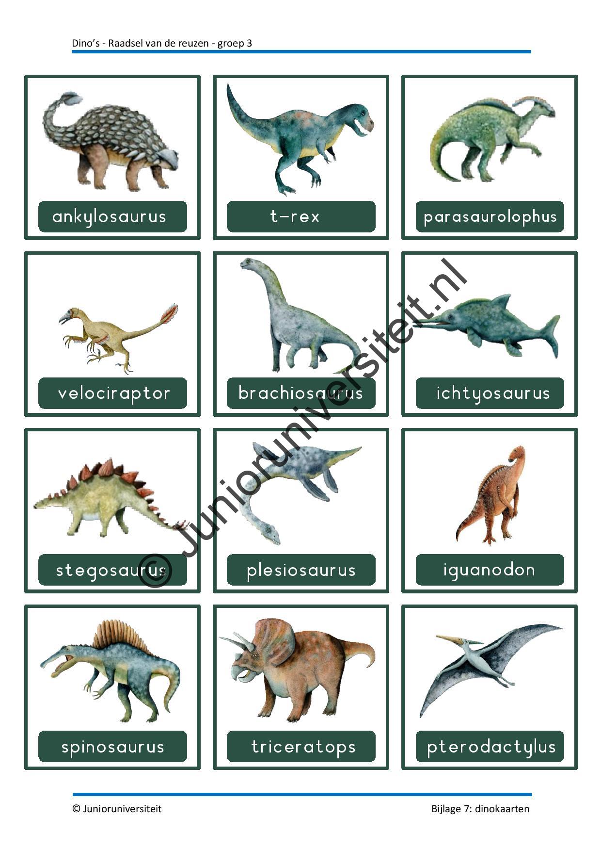 Dinos - groep 3 - Afbeelding 10