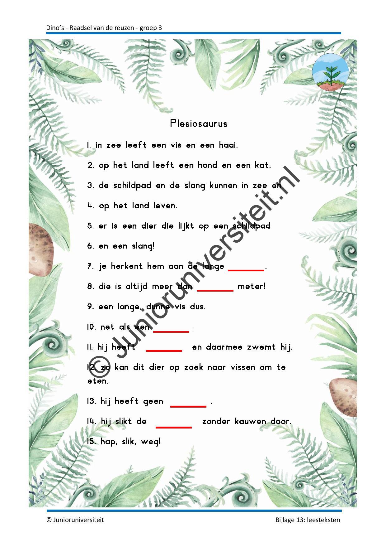 Dinos - groep 3 - Afbeelding 11