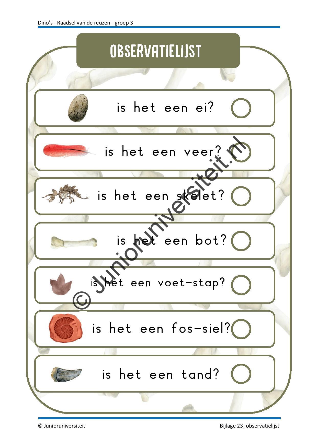 Dinos - groep 3 - Afbeelding 12