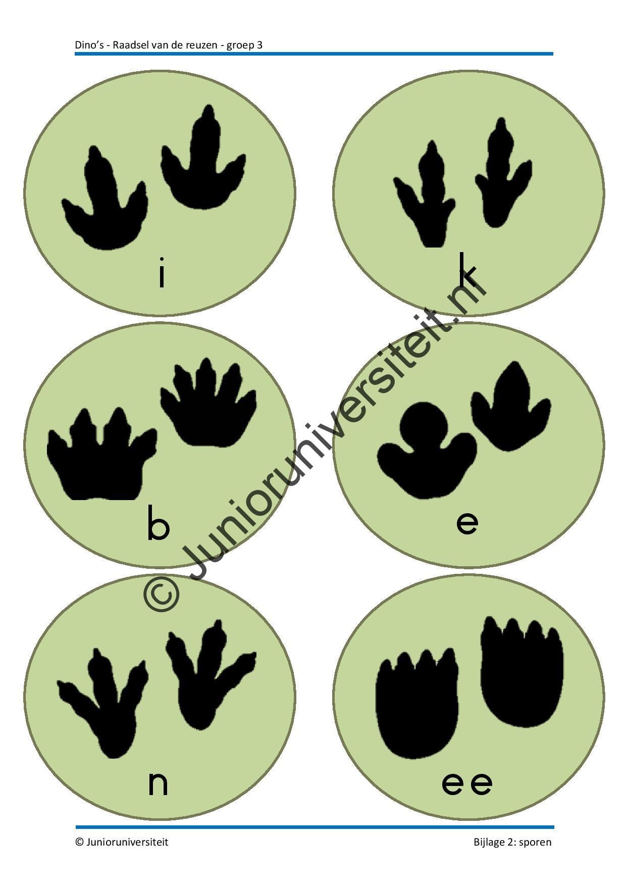 Dinos - groep 3 - Afbeelding 8