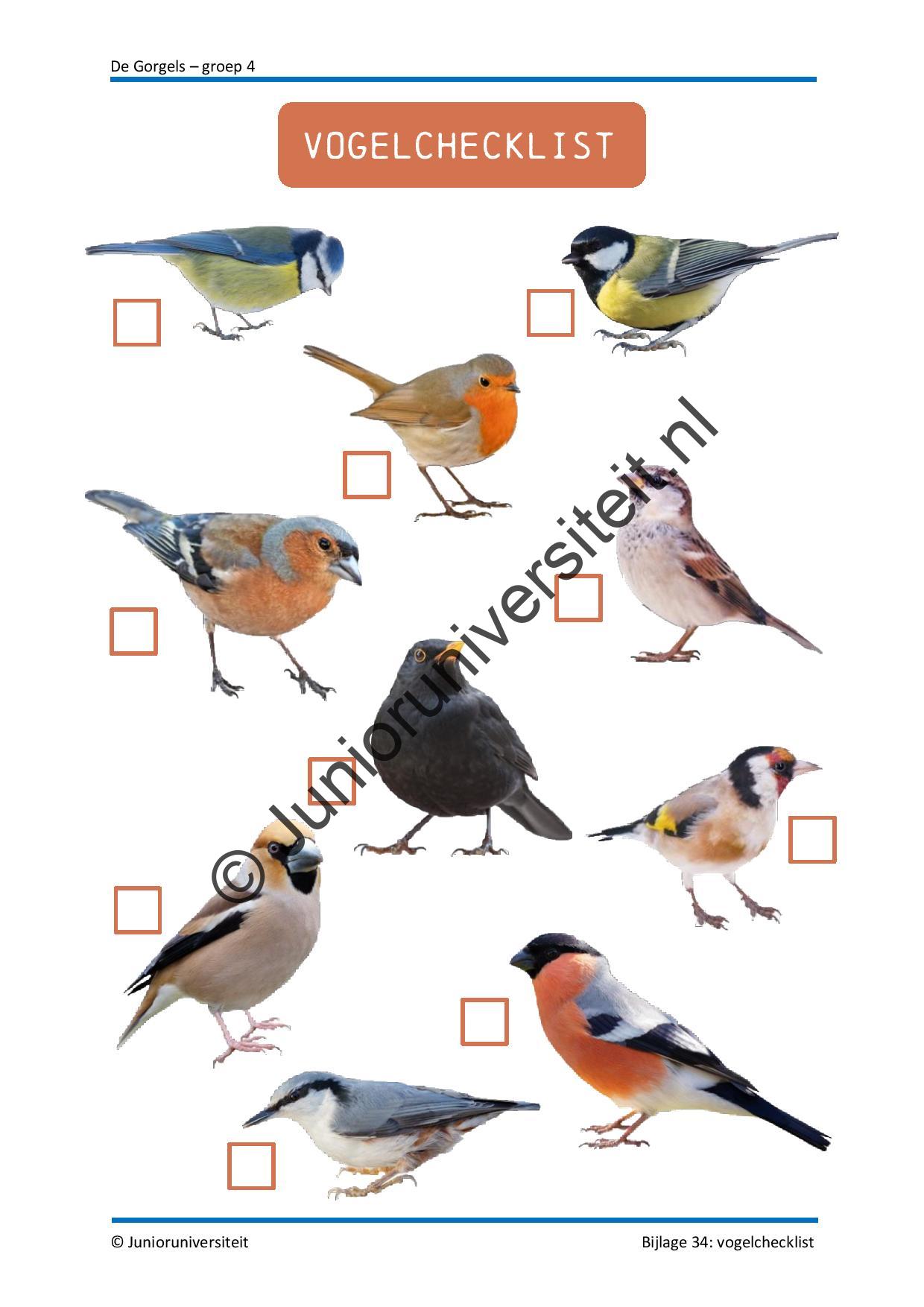 De Gorgels - groep 4 - Afbeelding 12