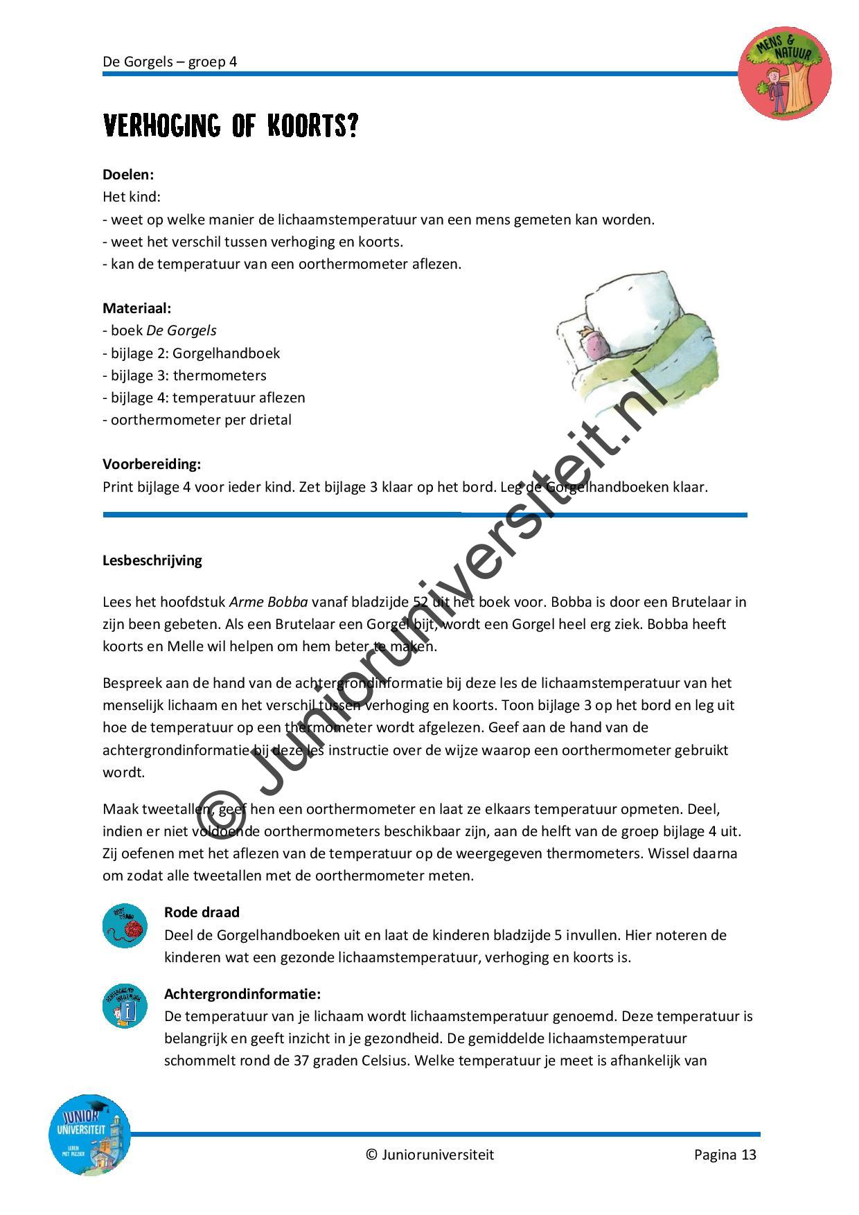 De Gorgels - groep 4 - Afbeelding 7