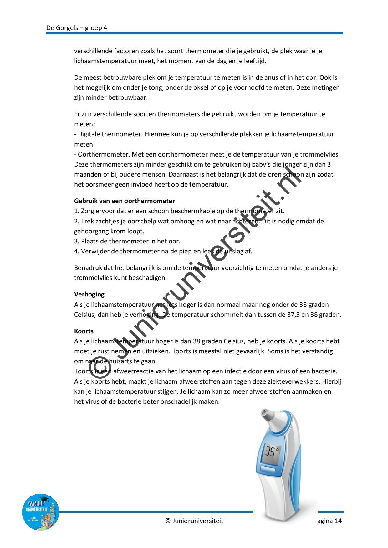 De Gorgels - groep 4 - Afbeelding 8