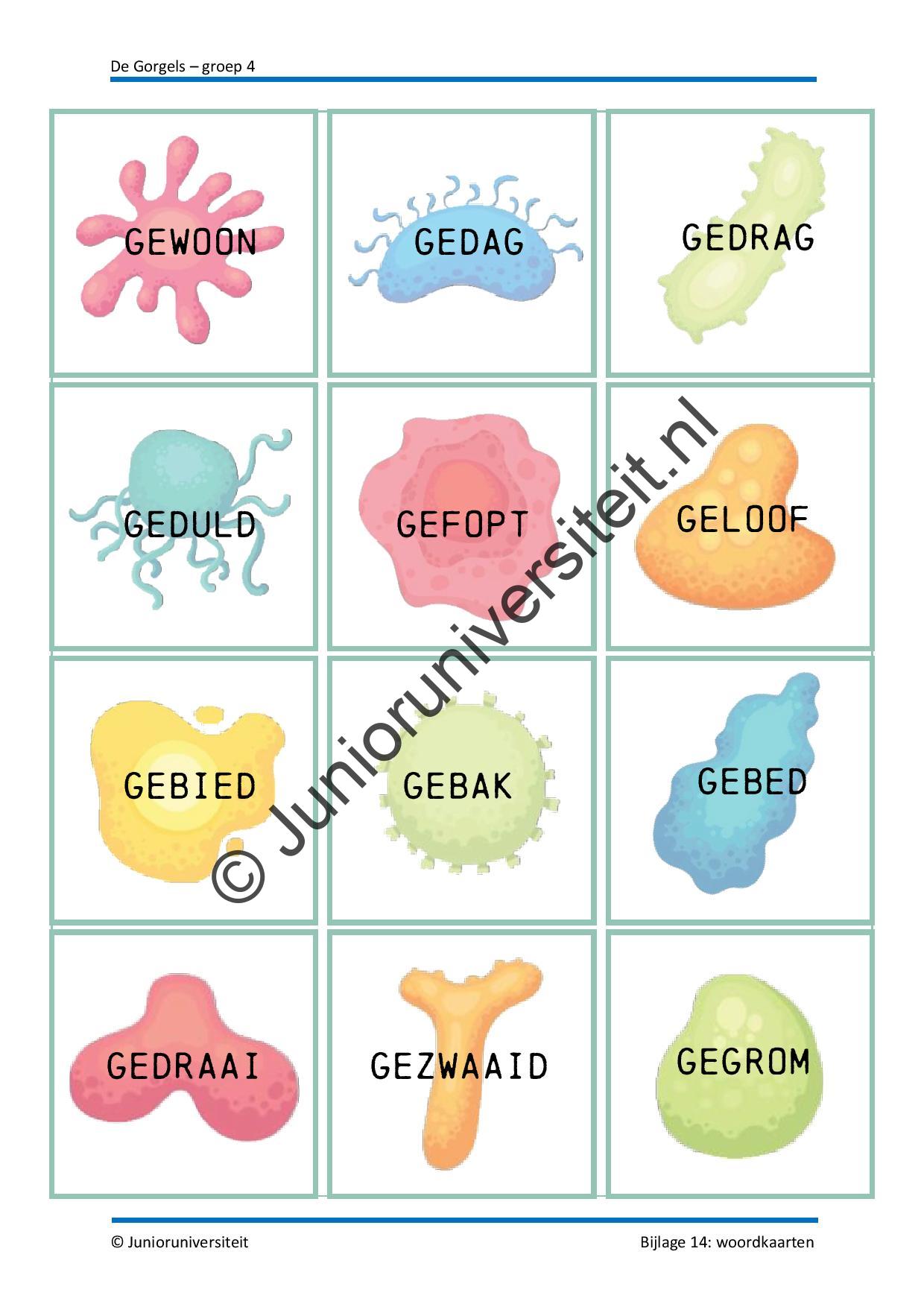 De Gorgels - groep 4 - Afbeelding 9