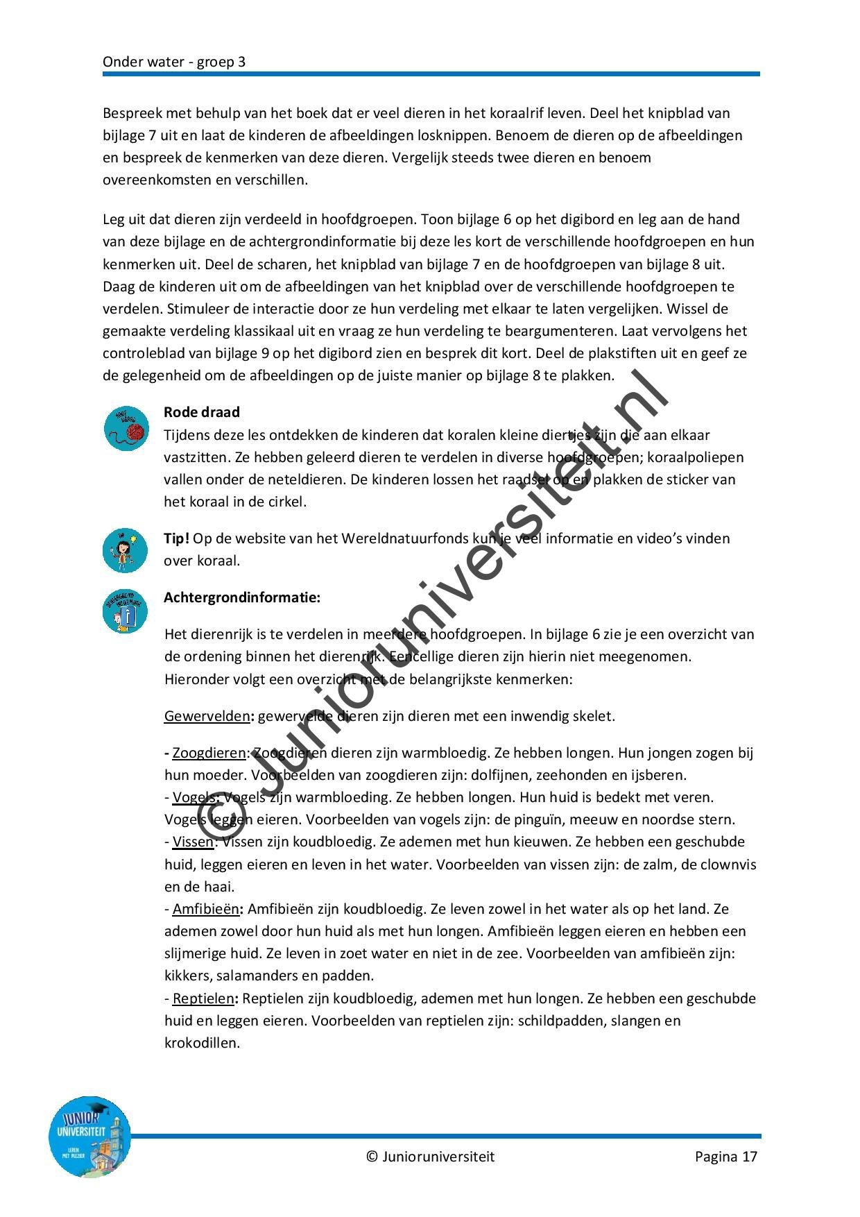 Onder water - groep 3 - Afbeelding 10