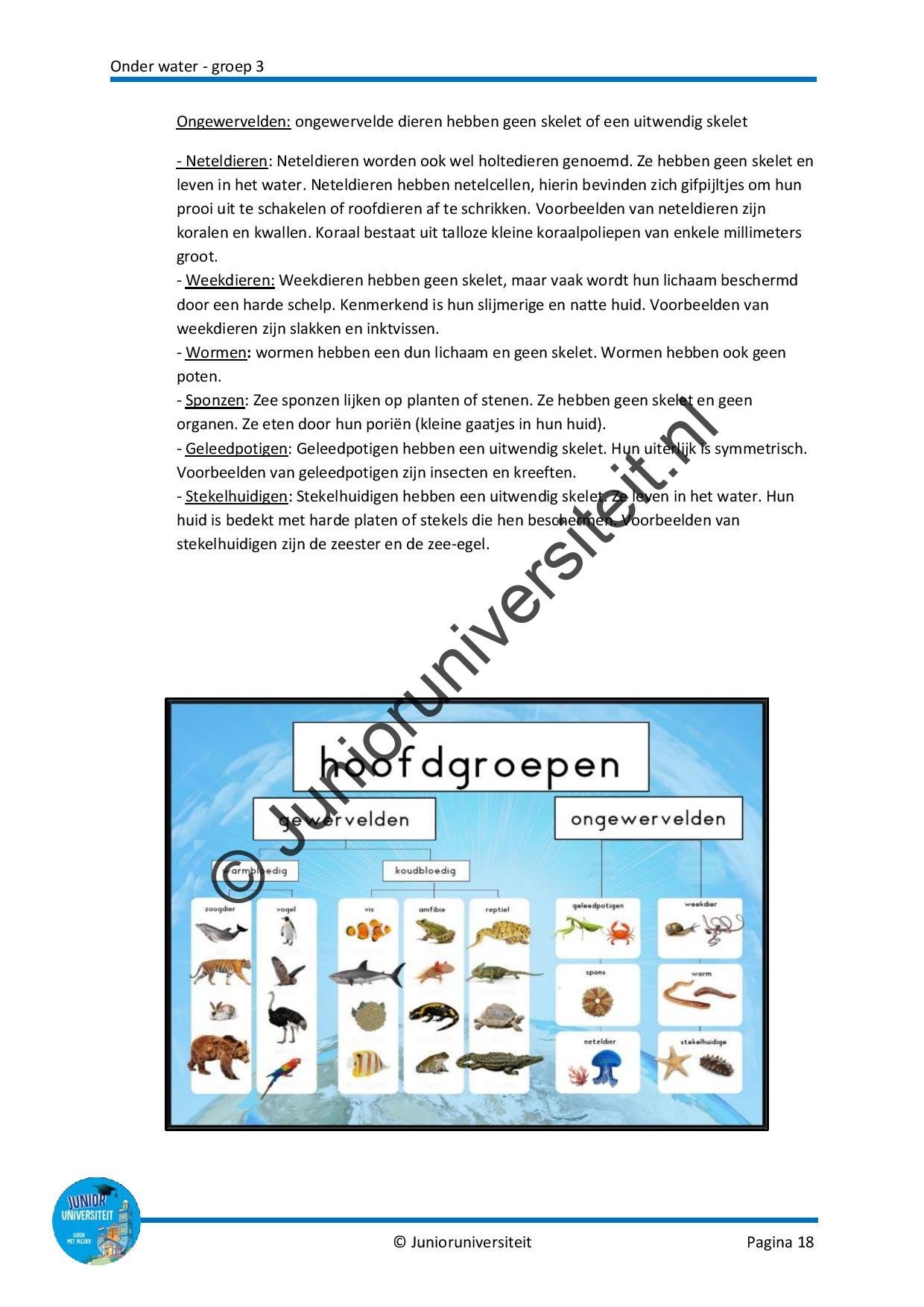 Onder water - groep 3 - Afbeelding 11