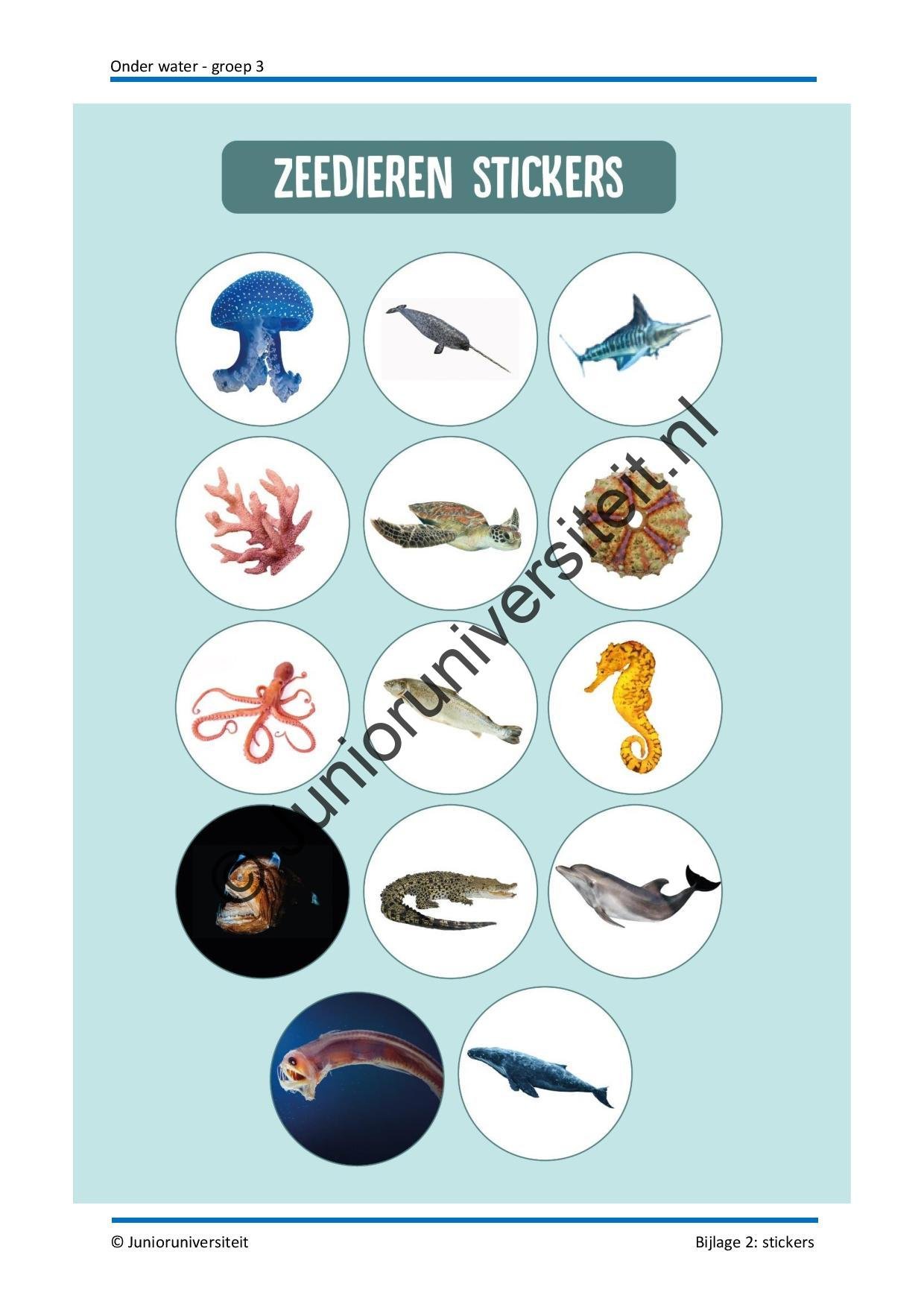 Onder water - groep 3 - Afbeelding 12