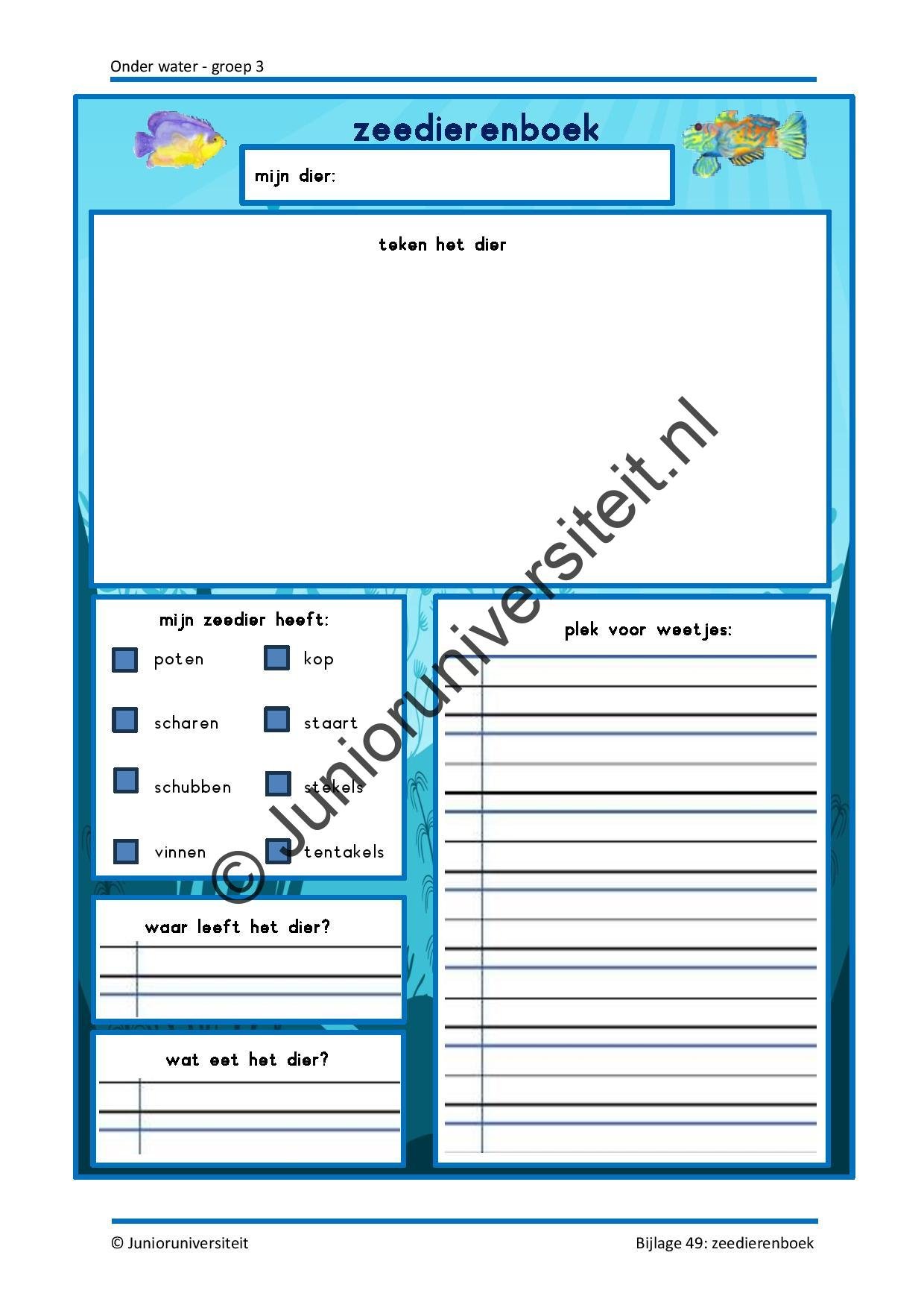 Onder water - groep 3 - Afbeelding 17