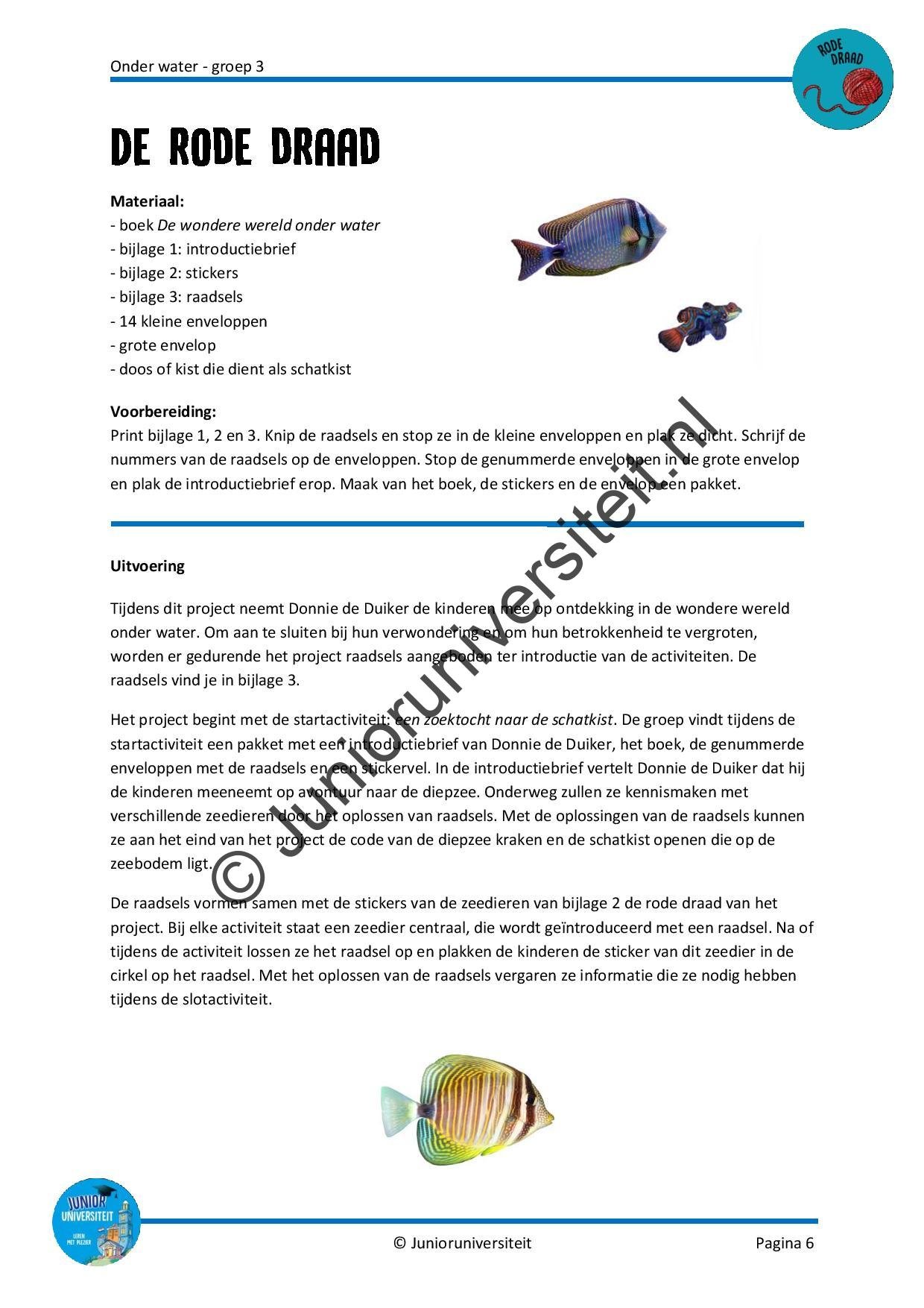 Onder water - groep 3 - Afbeelding 5