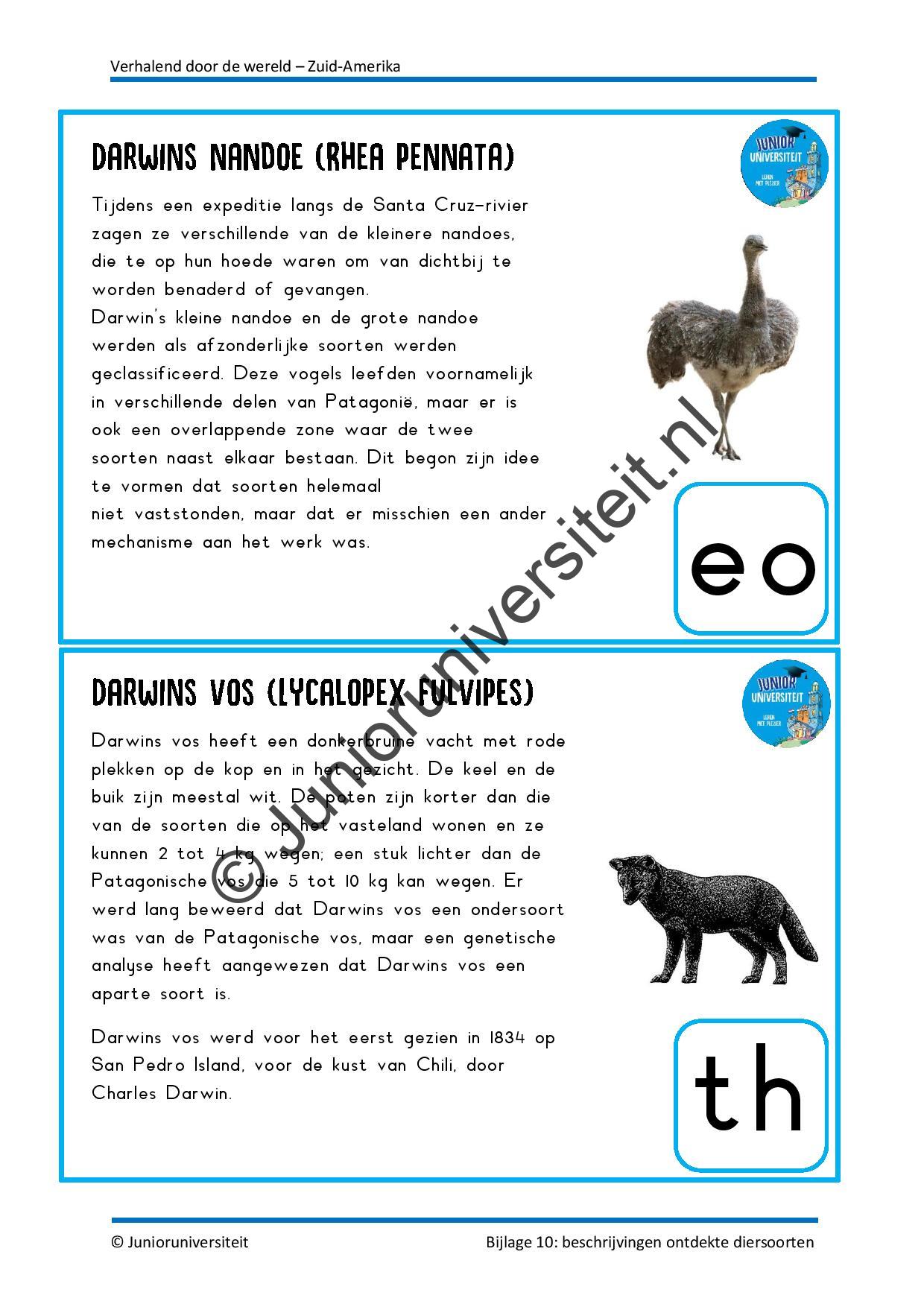 Verhalend door de wereld – Zuid-Amerika - Afbeelding 10