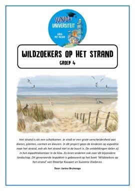 Wildzoekers op het strand - groep 4