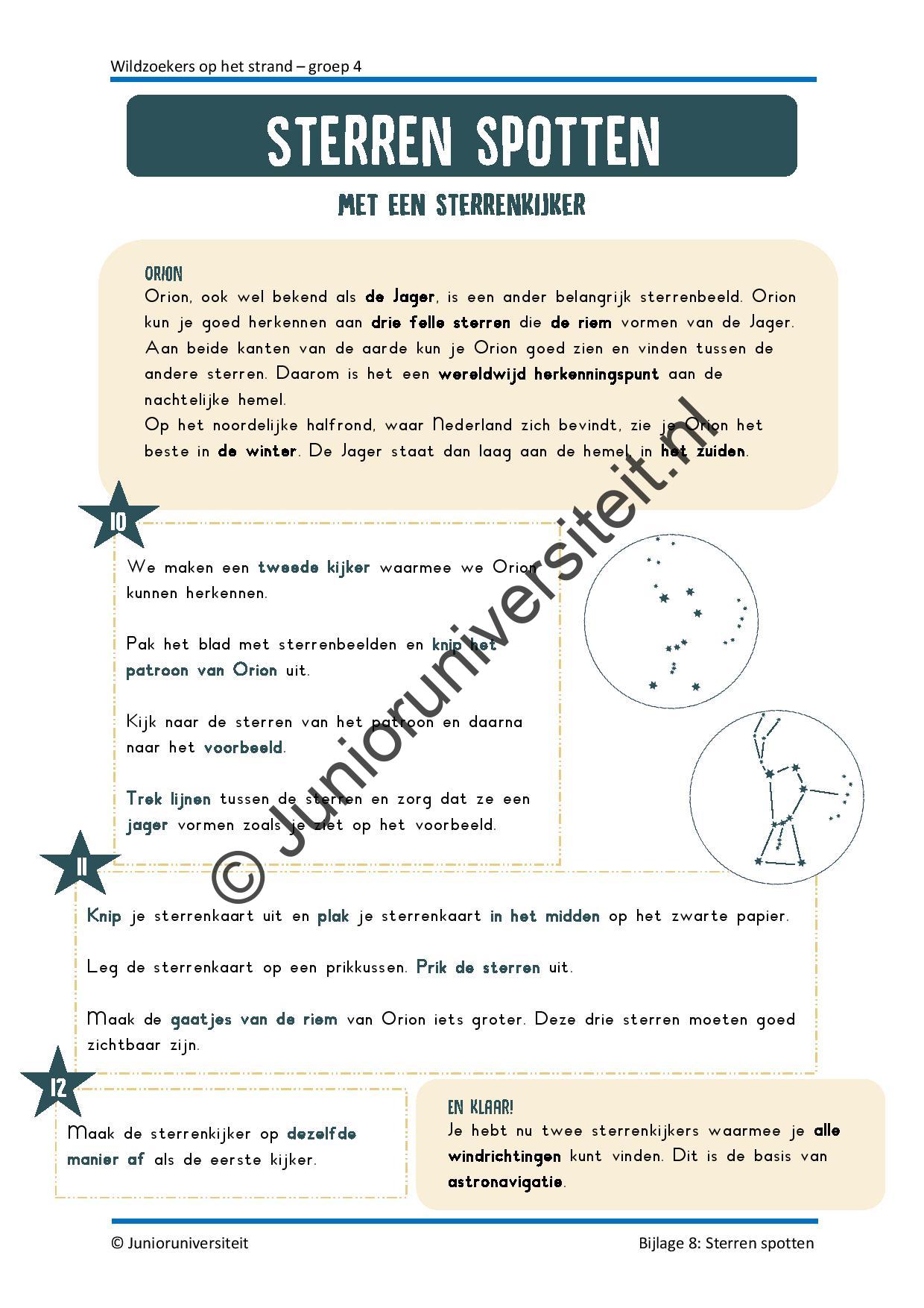 Wildzoekers op het strand - groep 4 - Afbeelding 10